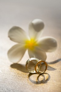 Wedding at The Sarojin Photographer