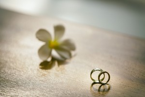 Wedding at The Sarojin Photographer